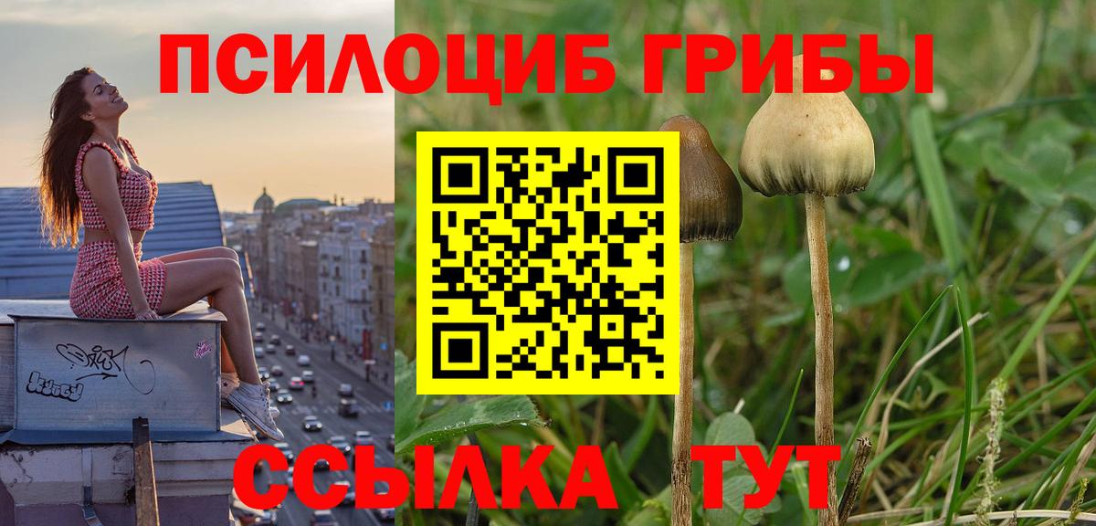 Псилоцибиновые грибы ЛСД Каменск-Уральский