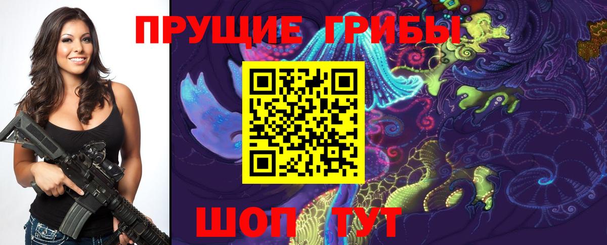 Галлюциногенные грибы прущие грибы  цена наркотик  Каменск-Уральский  Вход с VPN 